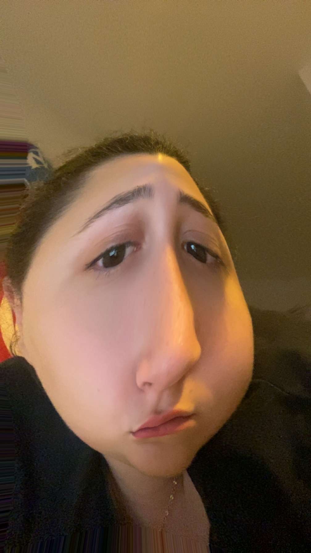 Ines ratatouille