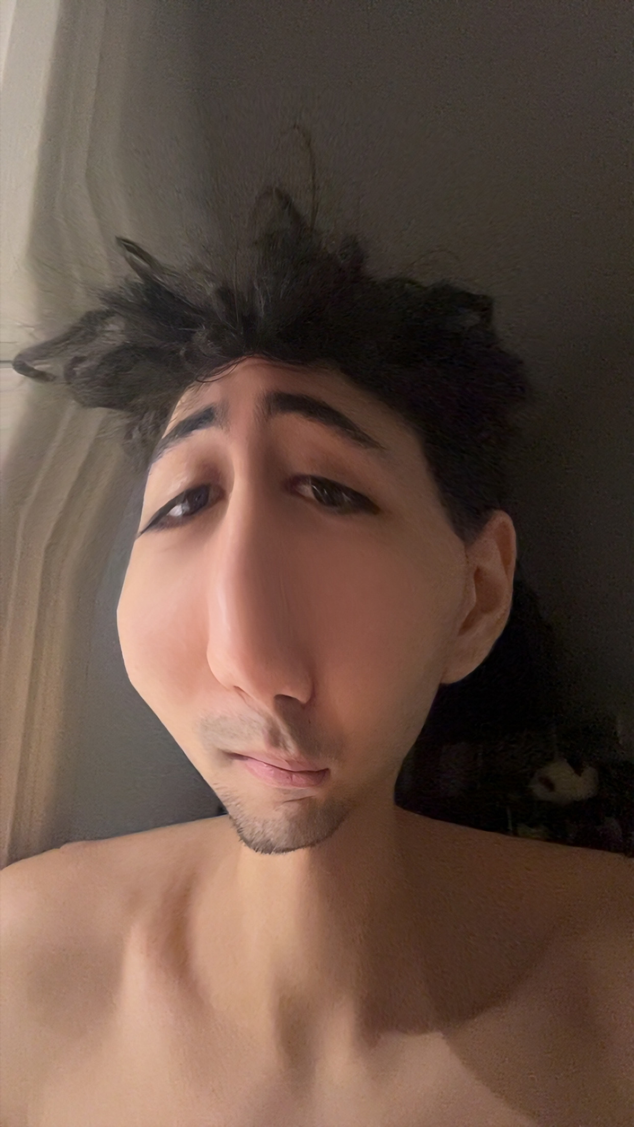 Younes ratatouille